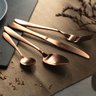 Jogo Talheres Mesa Faqueiro 24 Pçs Rose Gold Berlinger Haus - 2