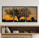 Ver imagem 1 de Kit 3 Quadros Paisagem Árvore Por do sol 24x18cm:madeira Preta