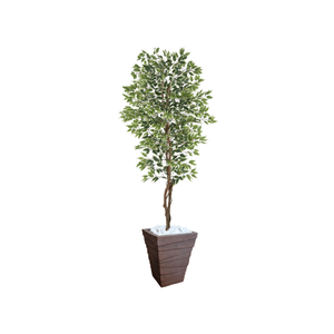 Planta Artificial Ficus Verde Creme 2,10m kit + Vaso Trapezio D. Grafiato Marrom 40cm