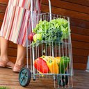 Ver imagem 3 de Carrinho de Compras Dobrável com Rodízio 33x43cm