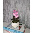 Ver imagem 1 de Arranjo De Mini Orquídea Rosa Vaso Bege Claro Redondo