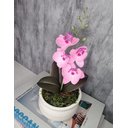 Ver imagem 3 de Arranjo De Mini Orquídea Rosa Vaso Bege Claro Redondo