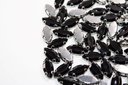 Ver imagem 2 de Chaton Engrampado Navete Cores |7x15mm