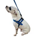 Ver imagem 6 de Coleira Peitoral Ajustável com Guia para Pet:cinza/gg