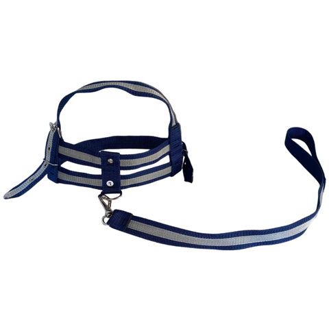 Coleira Peitoral Ajustável com Guia para Pet:cinza/gg