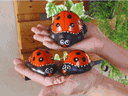 Ver imagem 2 de Joaninha Mini Decoração de Jardim Kit 3un Cerâmica Miniatura