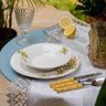Aparelho De Jantar Em Porcelana Tropicalis 20 Pçs - 6