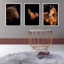 Ver imagem 2 de Kit 3 Quadros Fotografias Cavalos 24x18cm - com Vidro:madeira Preta