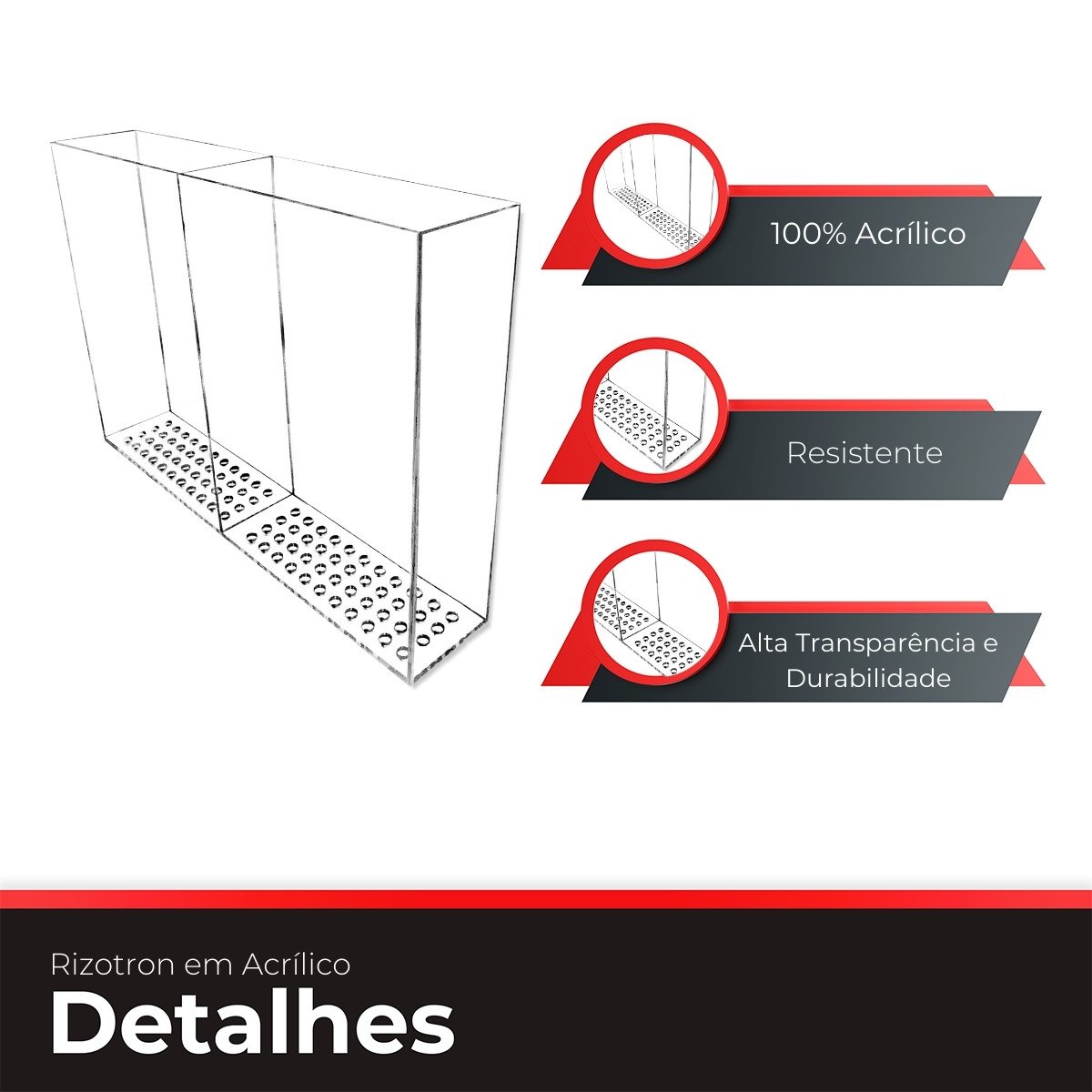 Rizotron em Acrílico Cristal 4 Un - 4