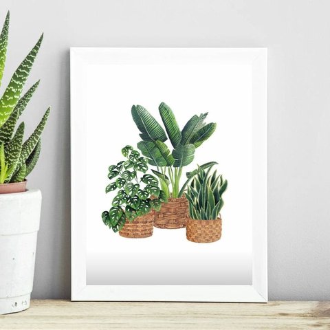 Quadro Minimalista Vaso de Plantas 24x18cm:madeira Branca