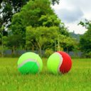 Ver imagem 2 de Brinquedo Pet Bola de Tênis para Cães (2 Unidades) Ringo