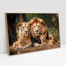 Quadro Decorativo Retrato Família Leão Leoa com Dois Filhotes Sala Quarto Casa Escritório - 2