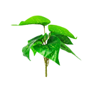 Ver imagem 3 de Arranjo de Planta Artificial em Vaso de Plástico Modelo:Planta Comigo Ninguém Pode
