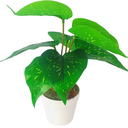 Ver imagem 2 de Arranjo de Planta Artificial em Vaso de Plástico Modelo:Planta Comigo Ninguém Pode