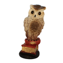 Ver imagem 2 de Coruja no Livro em Gesso: Um Símbolo de Sabedoria e Conhecimento para Sua Decoração