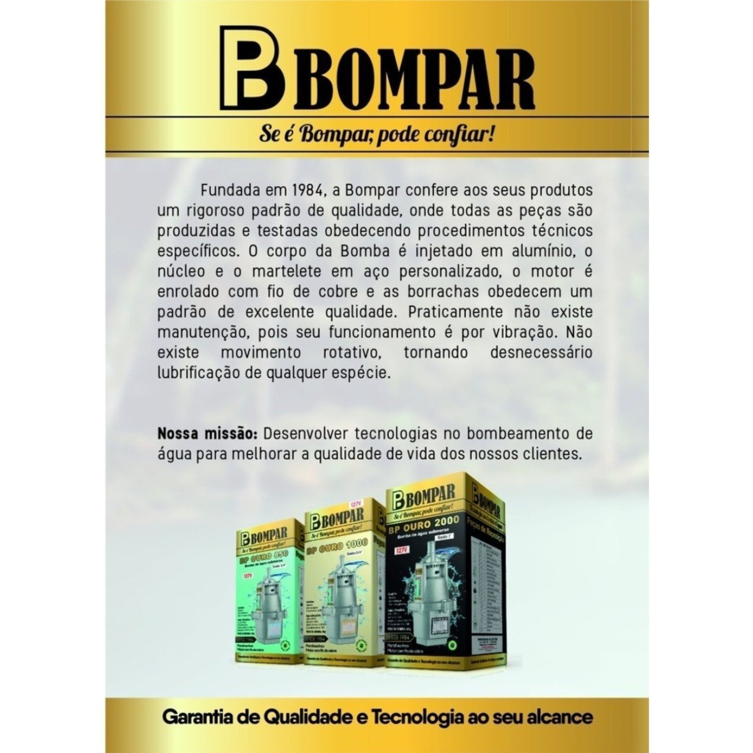 Bomba D'água Submersa Vibratória Sapo 450 HP 2.300 L/H 220v Motor Fio de Cobre BP Ouro 850 Bompar - 6