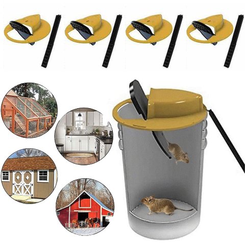 Armadilha Ratoeira Pega Rato Balde Reutilizavel Ratazana Camundongo Kit 5 Und