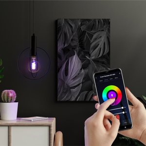 Lampada Smart Filamento Wi-fi LED 6W G95 RGB Taschibra