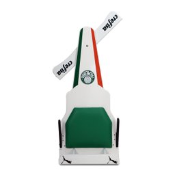 Carrinho de Rolimã F1 Palmeiras - 5