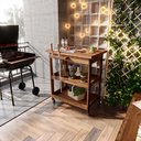 Ver imagem 1 de Carrinho Gourmet Churrasco Festa Bar Madeira