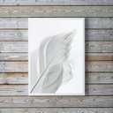 Ver imagem 1 de Quadro Decorativo Fotografia Branca Pena 24x18cm:madeira Preta