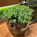 Ver imagem 1 de Arranjo Centro De Mesa Verdinho Artificial Completo