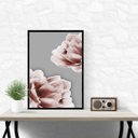 Ver imagem 1 de Quadro Rosas Rosa Fundo Cinza 33x24cm - com Vidro:moldura Branca