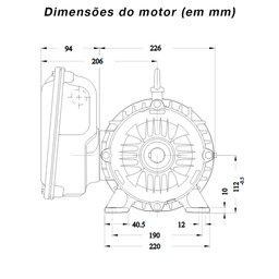 Motor Elétrico Monofásico WEG 3cv 220/440V 4 Polos Blindado Baixa Rotação W22 Monofásico Sem Flange  - 2