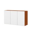 Ver imagem 1 de Armário Suspenso 120cm 3 Portas Luana/clara - Cinamomo/branco Aramóveis
