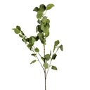 Ver imagem 1 de Folhagem Eucalipto Verde 95x30cm Haste Planta Artificial