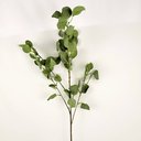 Ver imagem 4 de Folhagem Eucalipto Verde 95x30cm Haste Planta Artificial