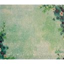 Ver imagem 1 de Tapete para Box Banheiro Estampas 0935 0,40X0,50M - Euro Mats