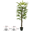 Ver imagem 1 de Árvore Artificial Palmeira Raphis Real Toque X18 Verde 1,50cm
