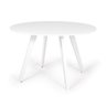 Conjunto Mesa de Jantar Redonda Amanda Branca 120cm com 6 Cadeiras Eiffel Slim - Branco - 2
