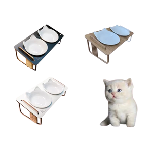 Comedouro Duplo Inclinado Elevado para Gatos em Mdf e Porcelana - Branco