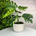 Ver imagem 3 de Vaso centro de mesa branco de cerâmica artesanal com planta