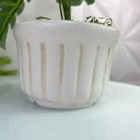 Ver imagem 4 de Vaso centro de mesa branco de cerâmica artesanal com planta