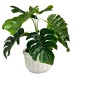 Ver imagem 1 de Vaso centro de mesa branco de cerâmica artesanal com planta