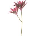 Ver imagem 1 de Planta Artificial Arvore Dracena Real Toque X30 Vermelho 1,10cm
