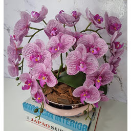Arranjo Com 4 Orquídeas Violeta Vaso Rose 28cm - 2
