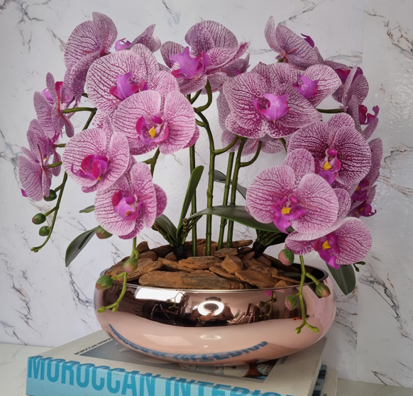 Arranjo Com 4 Orquídeas Violeta Vaso Rose 28cm - 1