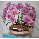Ver imagem 1 de Arranjo Com 4 Orquídeas Violeta Vaso Rose 28cm