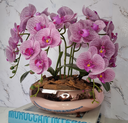 Ver imagem 1 de Arranjo Com 4 Orquídeas Violeta Vaso Rose 28cm