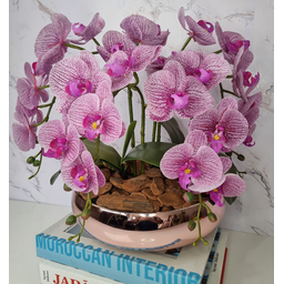 Arranjo Com 4 Orquídeas Violeta Vaso Rose 28cm - 3