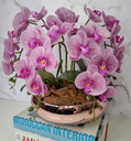 Ver imagem 3 de Arranjo Com 4 Orquídeas Violeta Vaso Rose 28cm