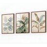 Kit 3 Quadros Folhagem Costela de Adão Botânico com Moldura:tabaco - 5