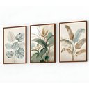 Ver imagem 5 de Kit 3 Quadros Folhagem Costela de Adão Botânico com Moldura:tabaco
