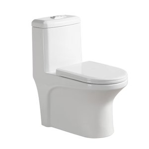Vaso Sanitário Monobloco Cerâmica Com Caixa Acoplada Pelegrin PEL-6273