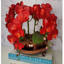Ver imagem 3 de Arranjo Com 4 Orquídeas Vermelha Vaso Cobre 28cm