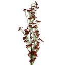 Ver imagem 1 de Kit 9 Flores Artificiais Vermelho para Buquês Arranjos e Decoração